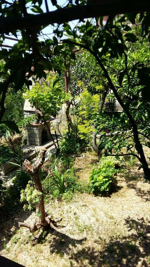 Apartmani Ivanka Makarska Exterior photo